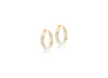9ct Two-Tone Gold Twin Band Hoop Earrings
