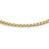 9ct Yellow Gold Polished Curb Link Bracelet