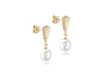 9ct Yellow Gold Freshwater Pearl Shell Drop Earrings