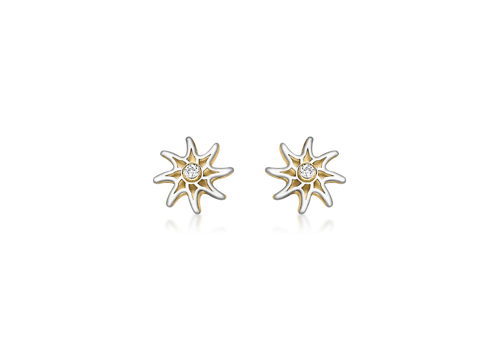 9ct 2-Colour Gold Star and Zirconia  Stud Earrings