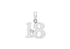 9ct White Gold 0.005t Diamond Set '18' Pendant